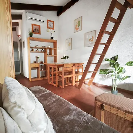 Cosy Avec Terrasse Et Parking Prive 公寓